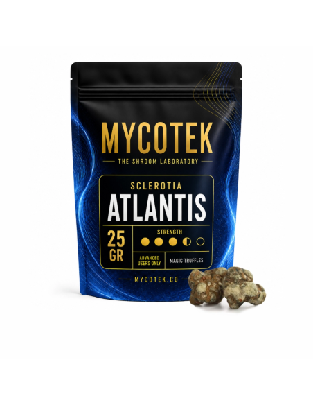 Truffes magiques Psilocybe Atlantis – Mycotek – sachet de 25 g et quelques truffes à côté