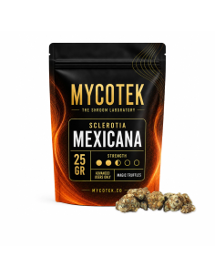 Truffes magiques Psilocybe Mexicana – Mycotek