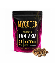 Truffes magiques Psilocybe Fantasia – Mycotek