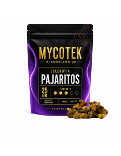 Truffes magiques Psilocybe Pajaritos – Mycotek