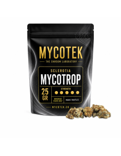 Truffes magiques Psilocybe Mycotrop – Mycotek