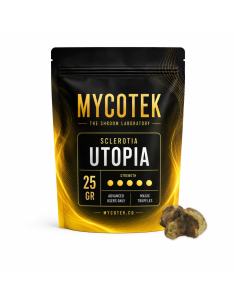Truffes magiques Psilocybe Utopia – Mycotek