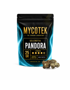 Truffes magiques Psilocybe Pandora – Mycotek