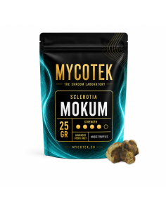 Truffes magiques Psilocybe Mokum – Mycotek