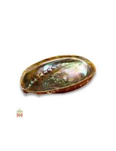 Coquille d’ormeau naturelle – réceptacle irisé pour encens 2