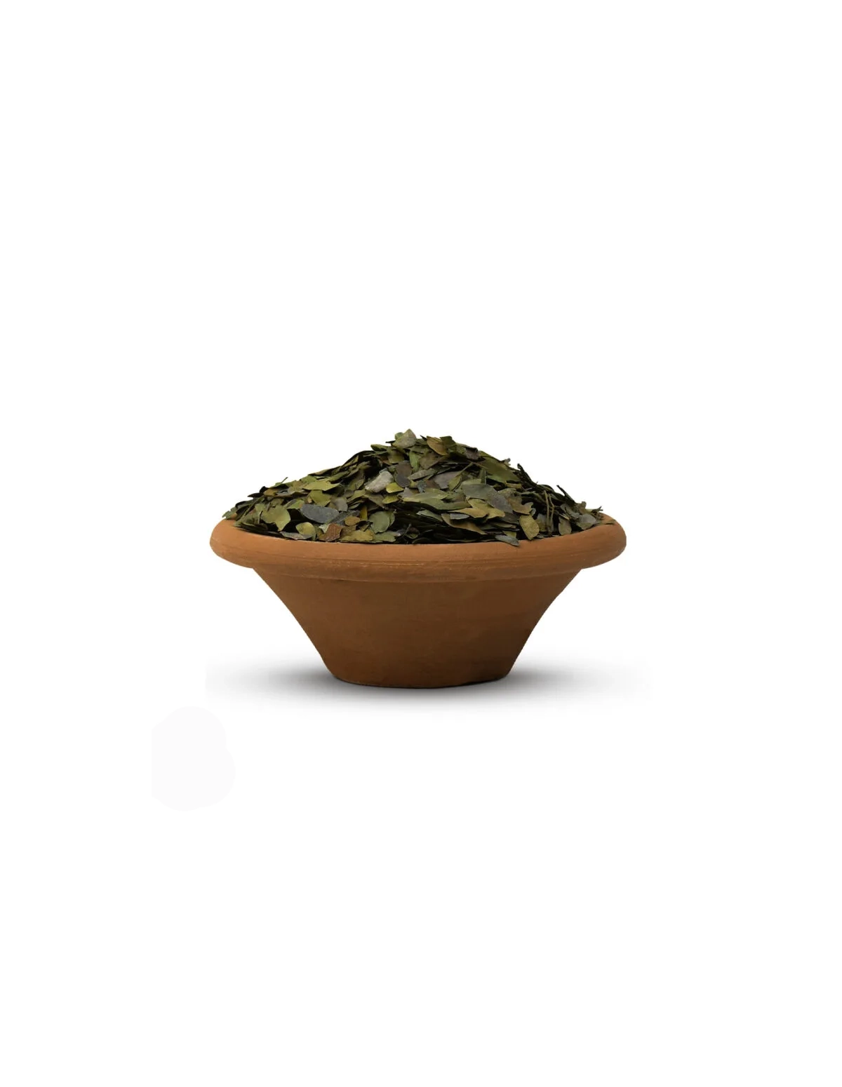Bobinsana du Pérou – Feuilles entières, Calliandra angustifolia – feuilles entières dans un bol en terre cuite