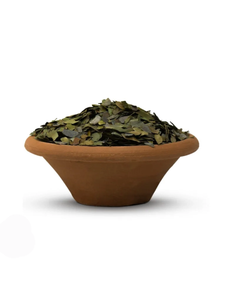 Bobinsana du Pérou – Feuilles entières, Calliandra angustifolia – feuilles entières dans un bol en terre cuite