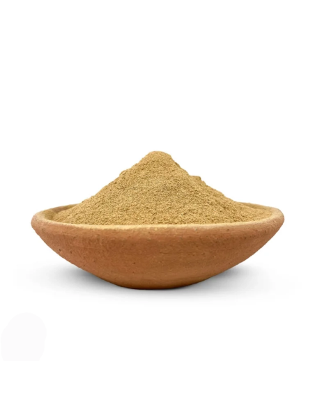 Iboga (Tabernanthe iboga) – poudre d’écorce de racine brun clair dans un bol en terre cuite