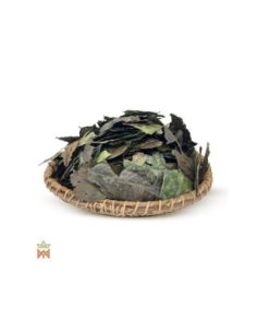 Guayusa d’Équateur – feuilles entières, Ilex guayusa 2