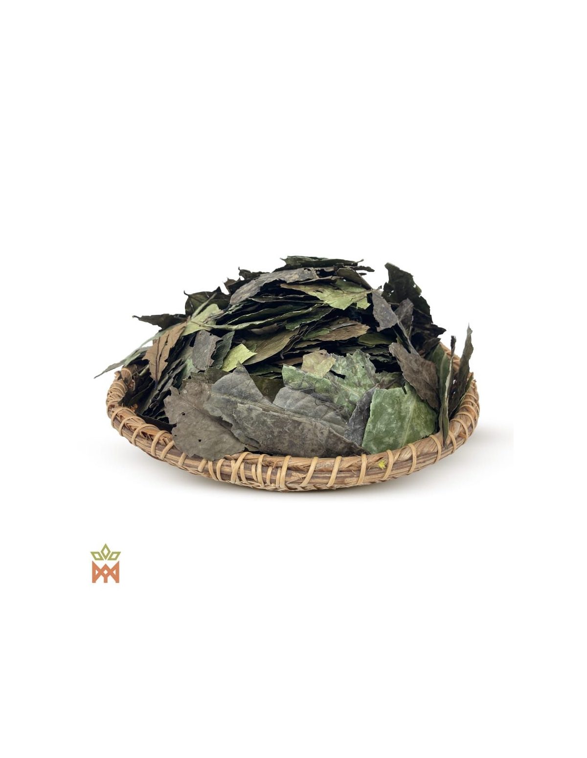 Guayusa d’Équateur (Ilex guayusa) – feuilles entières séchées sur un plateau tressé