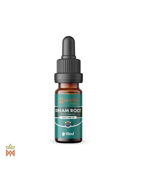 Teinture de racine des rêves (Silene capensis) – flacon compte-gouttes Maya Herbs de 10 ml, étiquette Tincture 1:1