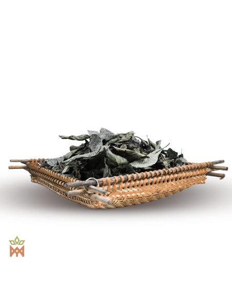 Chacruna d’Ucayali, Pérou – Feuilles entières, Psychotria viridis – feuilles entières sur un plateau tressé