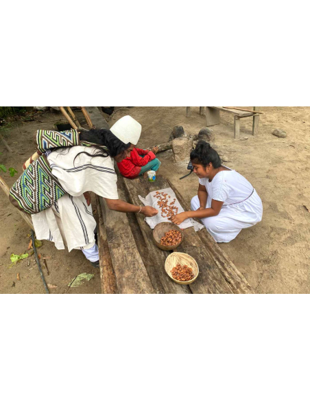 Cacao cérémoniel arhuaca de Colombie – tri manuel des fèves sur un tissu