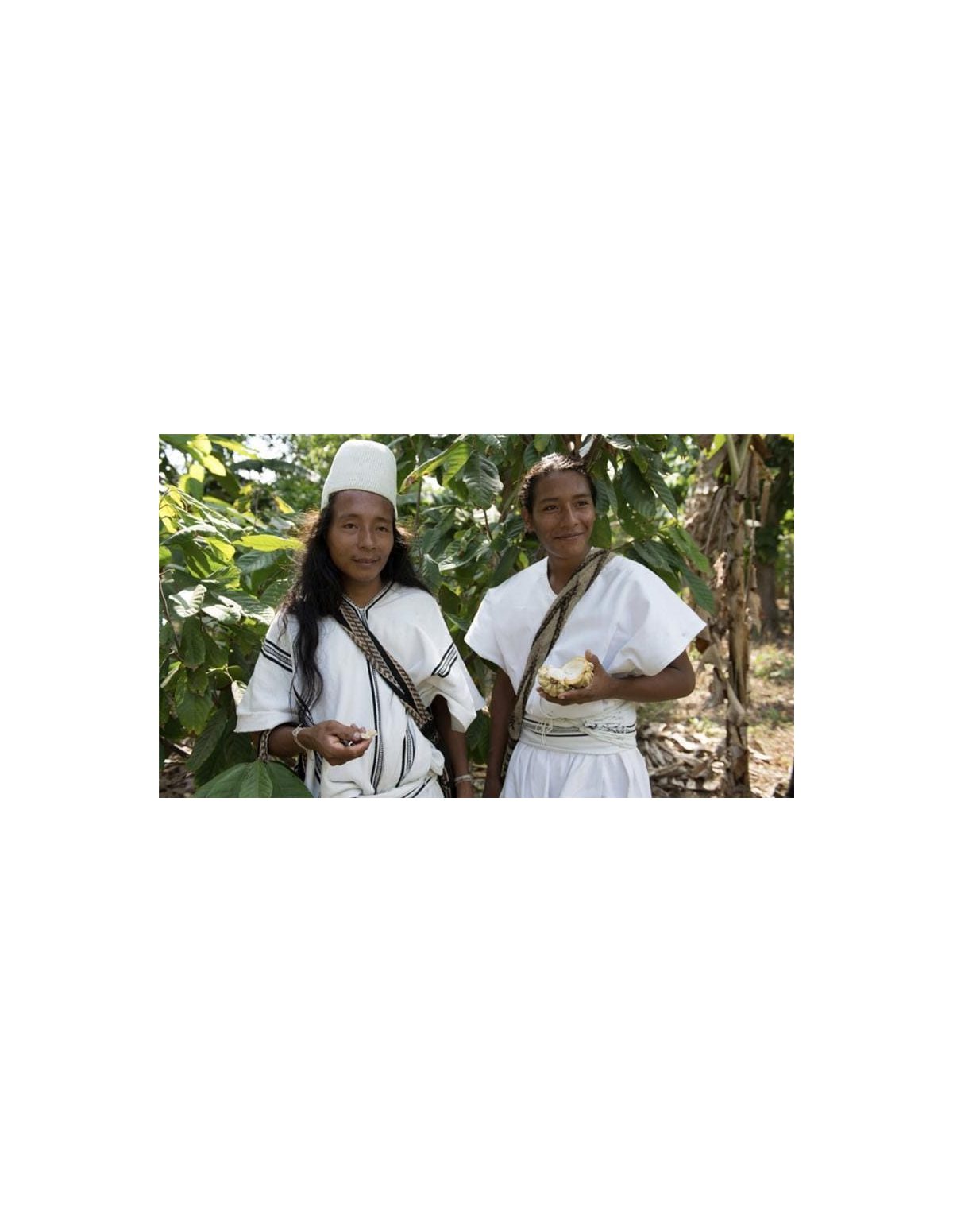 Cacao cérémoniel arhuaca de Colombie – deux personnes tenant une cabosse ouverte
