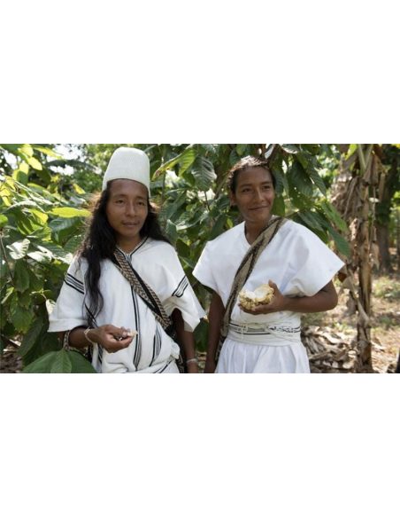 Cacao cérémoniel arhuaca de Colombie – deux personnes tenant une cabosse ouverte