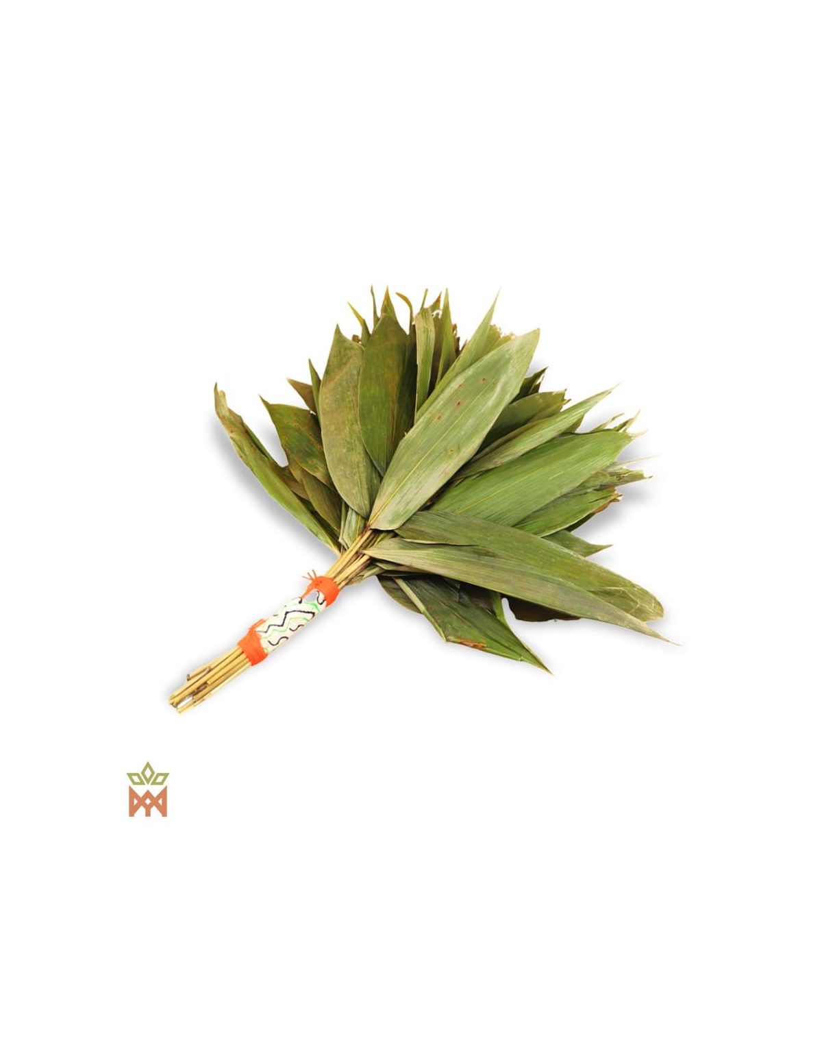 Chakapa du Pérou – Faisceau botanique artisanal, Pariana bicolor – éventail de feuilles séchées, poignée à bande tissée rayée