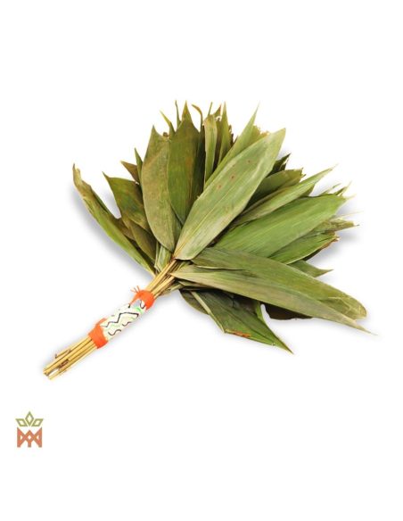 Chakapa du Pérou – Faisceau botanique artisanal, Pariana bicolor – éventail de feuilles séchées, poignée à bande tissée rayée