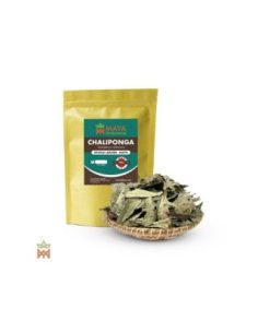 Chaliponga de Napo, Pérou – Feuilles entières,...