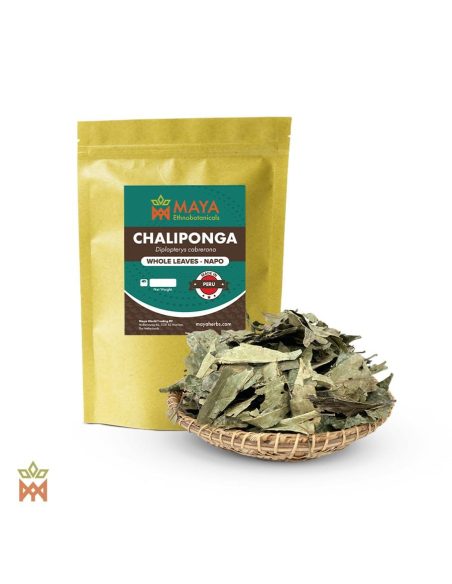 Chaliponga de Napo, Pérou – Feuilles entières, Diplopterys cabrerana – sachet étiqueté et panier de feuilles