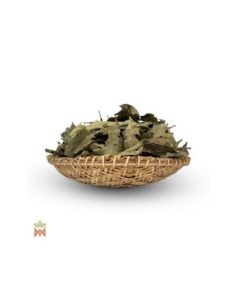 Chaliponga de Napo, Pérou – Feuilles entières,... 2