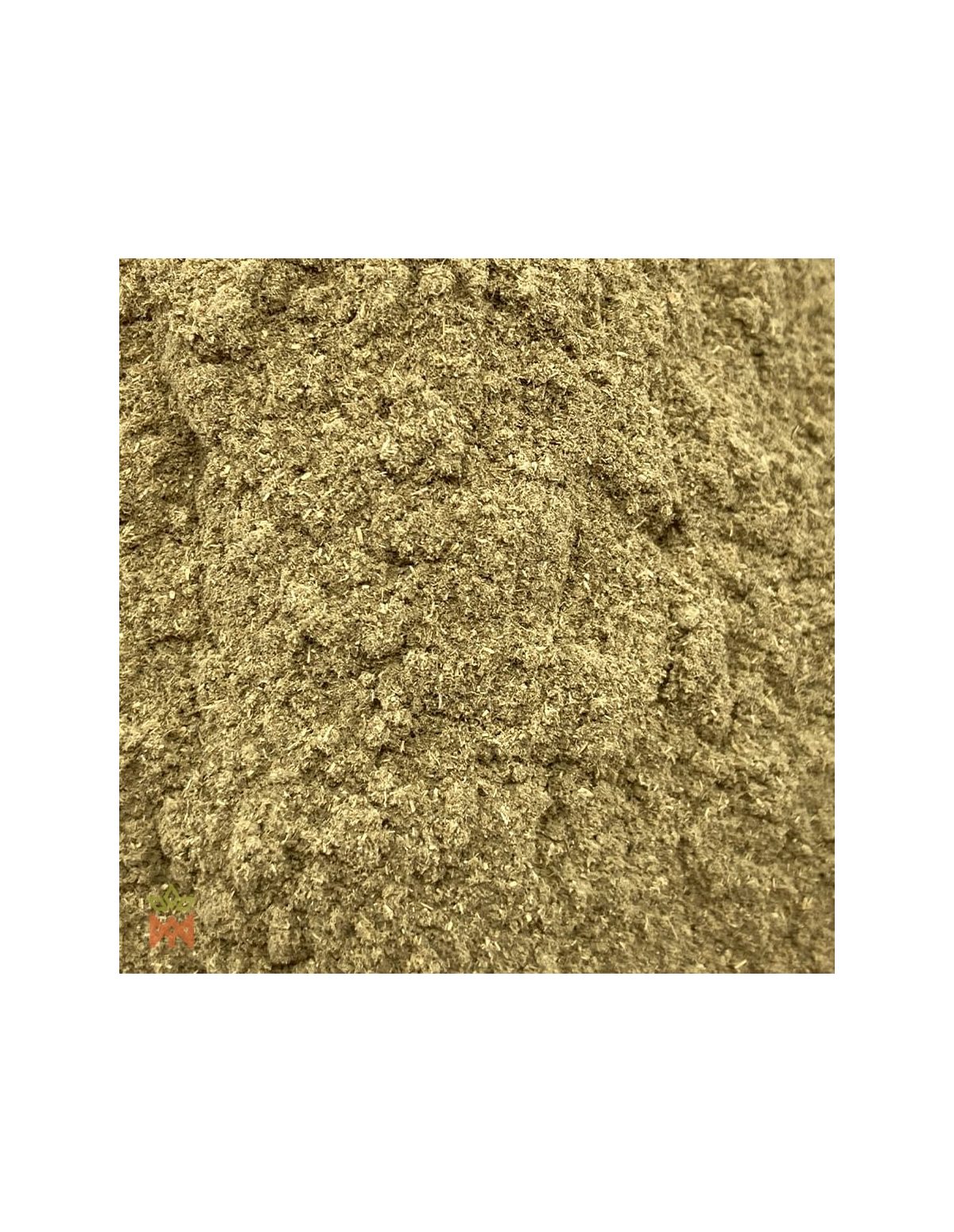 Manayupa en poudre (Desmodium molliculum) – gros plan sur la poudre