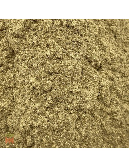 Manayupa en poudre (Desmodium molliculum) – gros plan sur la poudre