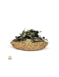 Sauge d’Oaxaca – feuilles entières, Salvia divinorum 2