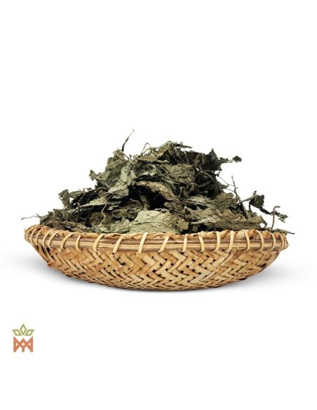 Sauge d’Oaxaca (Salvia divinorum) – feuilles entières séchées et froissées dans une corbeille tressée
