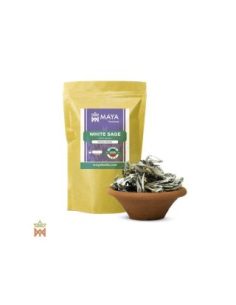 Sauge blanche d’Oregon – feuilles entières, Salvia apiana