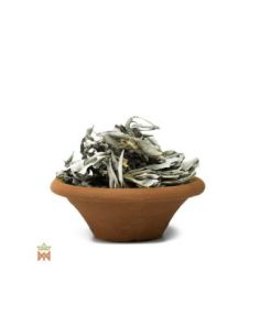 Sauge blanche d’Oregon – feuilles entières, Salvia apiana 2