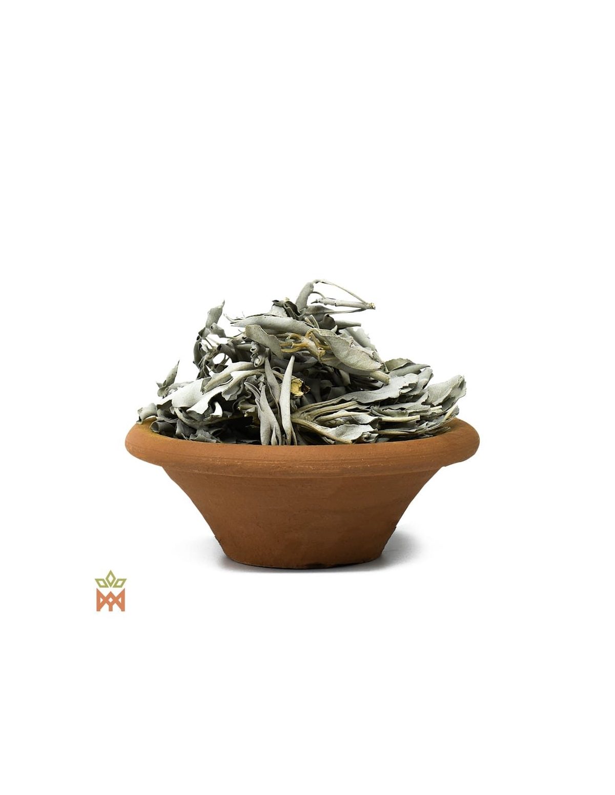 Sauge blanche d’Oregon (Salvia apiana) – feuilles entières vert argenté dans un bol en terre cuite