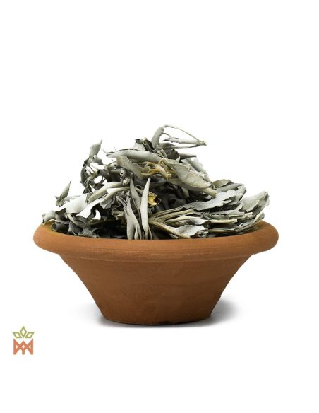 Sauge blanche d’Oregon (Salvia apiana) – feuilles entières vert argenté dans un bol en terre cuite