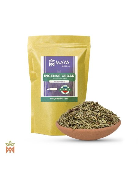 Calocèdre des États-Unis (Calocedrus decurrens) – sachet Maya Incense et feuillage entier dans un bol en terre cuite