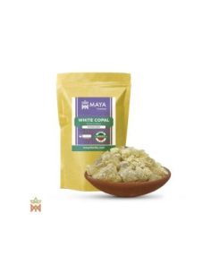 Copal blanc du Mexique – Résine de sève, Bursera jorullense