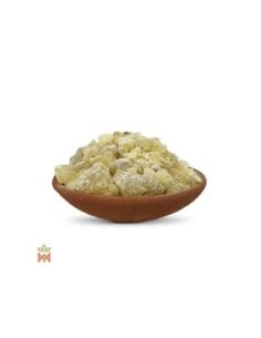 Copal blanc du Mexique – Résine de sève, Bursera jorullense 2