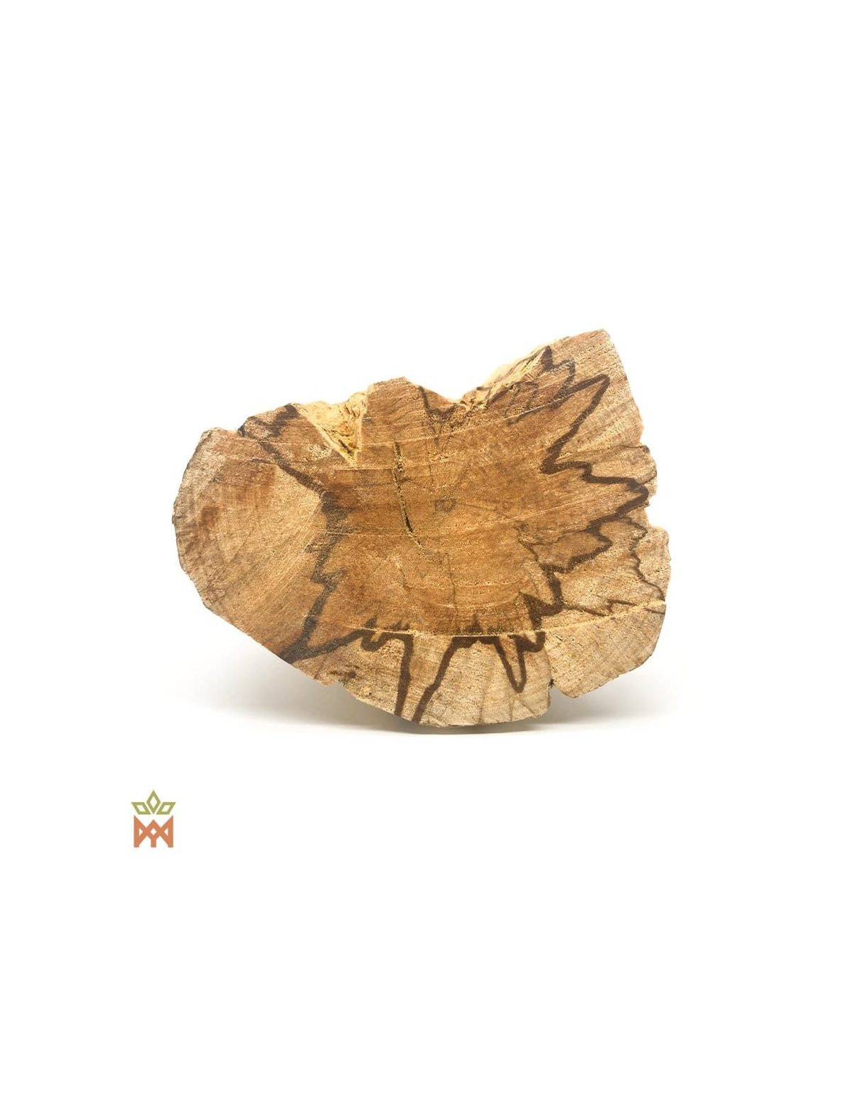 Palo santo du Pérou – Bûches de bois, Bursera graveolens – face coupée d’une bûche, détail