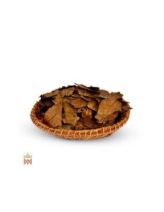 Guayusa du Pérou – feuilles entières, Ilex guayusa 2