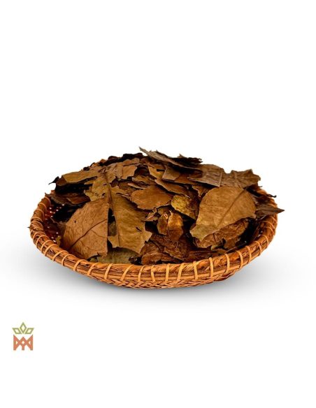 Guayusa du Pérou (Ilex guayusa) – feuilles entières brunes en tas sur un plateau tressé