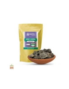 Copal gris du Pérou – Résine de sève, Dacryodes peruviana