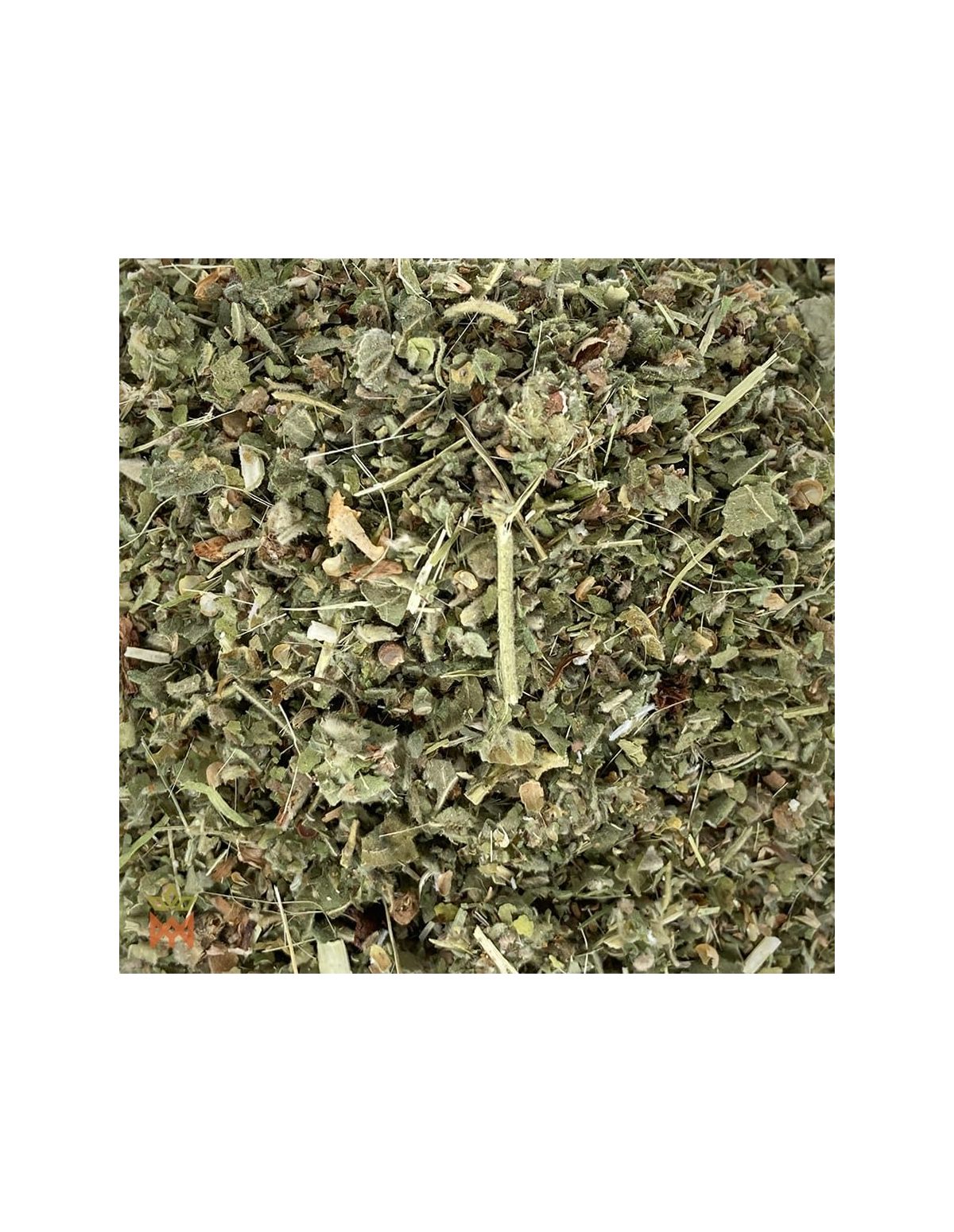 Guimauve de Pologne (Althaea officinalis) – gros plan de fragments de feuilles et de tiges