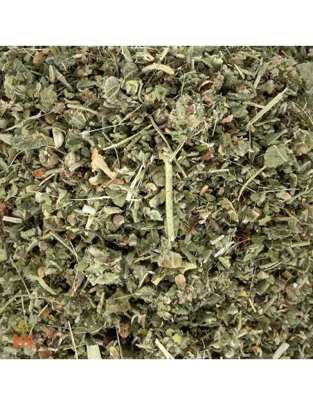 Guimauve de Pologne (Althaea officinalis) – gros plan de fragments de feuilles et de tiges