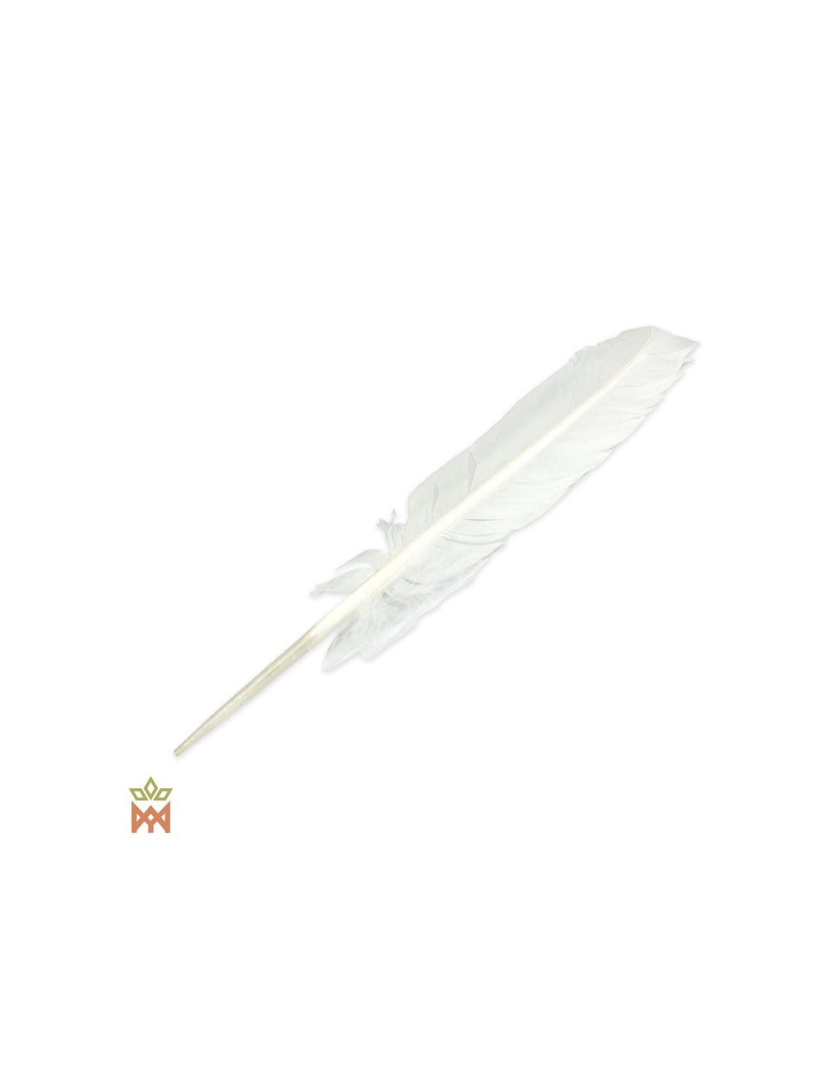 Plume de fumigation de 28 cm – une seule plume blanche à long calamus nu