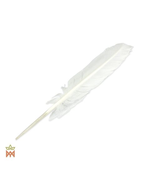 Plume de fumigation de 28 cm – une seule plume blanche à long calamus nu