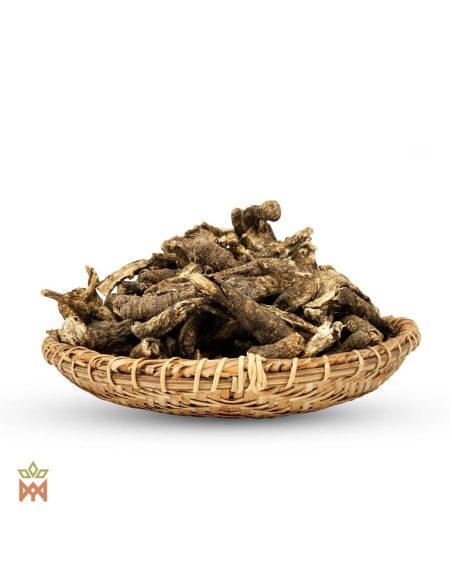 Osha du Mexique (Ligusticum porteri) – tas de racines entières ridées, vue de côté