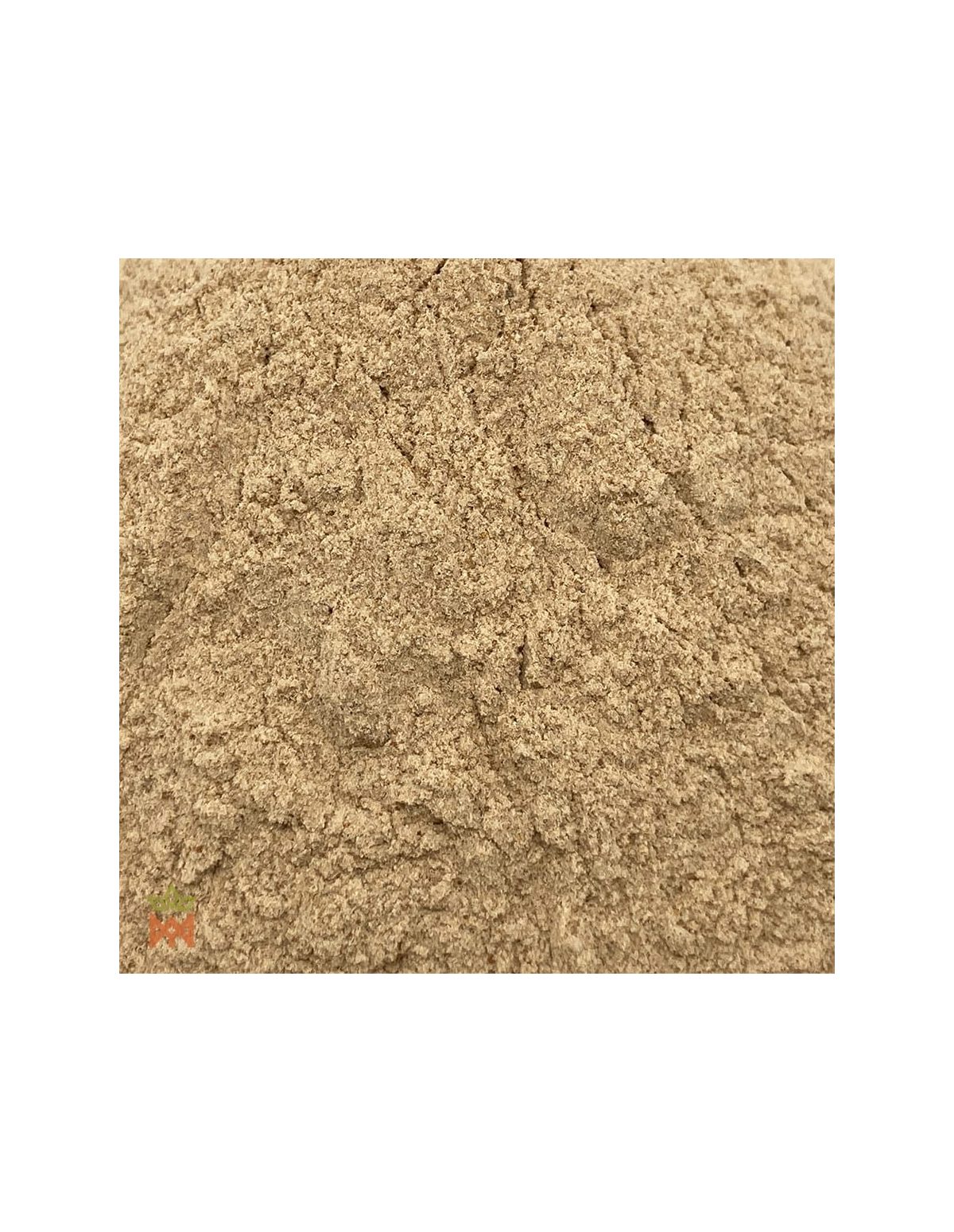 Jergon sacha (Dracontium loretense) – gros plan sur la poudre de racine