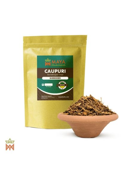 Liane Caupuri du Brésil – Liane fragmentée, Banisteriopsis caapi – sachet étiqueté et coupelle de liane fragmentée