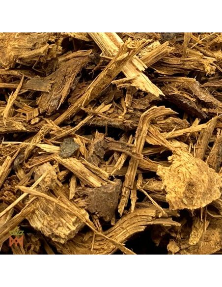 Liane Caupuri du Brésil – Liane fragmentée, Banisteriopsis caapi – gros plan sur les fragments de liane