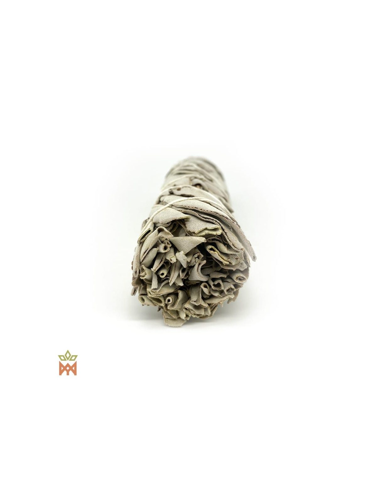 Grand fagot de sauge blanche vu par un bout, feuilles repliées de Salvia apiana
