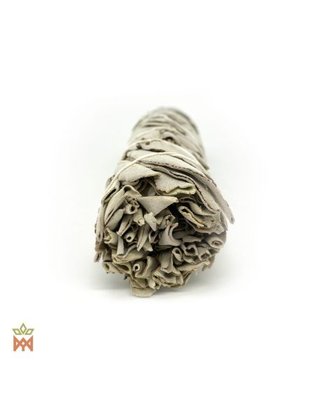 Grand fagot de sauge blanche vu par un bout, feuilles repliées de Salvia apiana