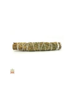 Cèdre à encens des États-Unis – Grand fagot, Libocedrus...